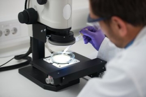 Wͨ^(xing)Ҏ(gu)t(y)еa(chn)ƷȫԸ(yn)