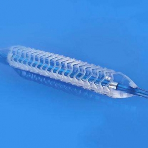 չڠ(dng)}ˎϴÓ֧Rԇ(yn)ָ(do)ԭt