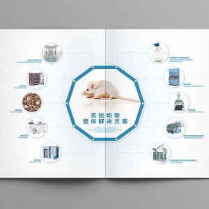 t(y)е(dng)(sh)(yn)оg(sh)ָ(do)ԭt һ֣Qԭt