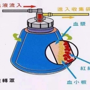 xʽѪҺɷַxORurעԼgָԭt