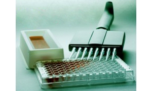 đ̴y(c)ԇע(c)g(sh)ָ(do)ԭt