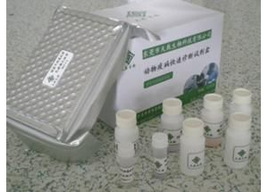 Aͪzy(c)ԇע(c)g(sh)ָ(do)ԭt