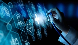 2023û(lin)W(wng)t(y)Ժ