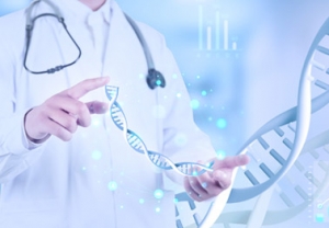 CMEH(gu)Ht(y)еչ[(hu)